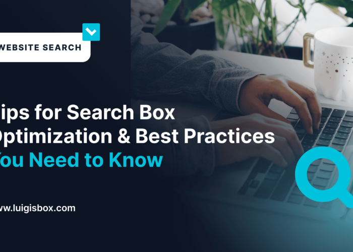Tips for Search Box Optimization & Best Practices You Need to Know