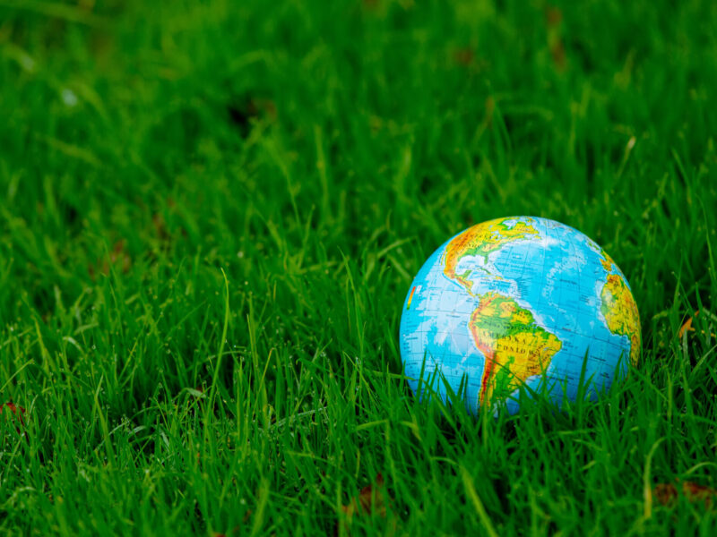 Going Green & Turning a Profit